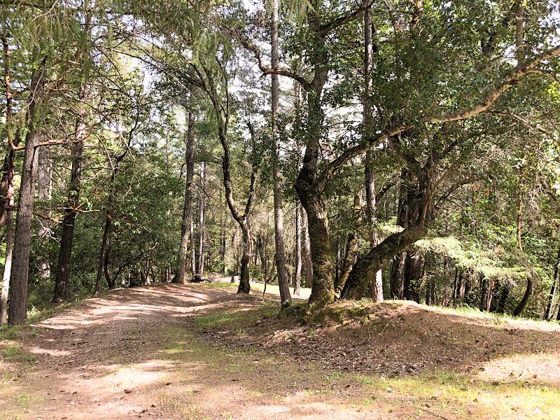 0 DEER CREEK, BOULDER CREEK, California 95006, ,Lots And Land,For Sale,DEER CREEK,40964071