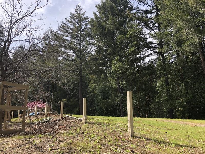 0 DEER CREEK, BOULDER CREEK, California 95006, ,Lots And Land,For Sale,DEER CREEK,40964071