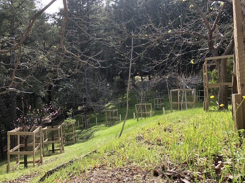 0 DEER CREEK, BOULDER CREEK, California 95006, ,Lots And Land,For Sale,DEER CREEK,40964071