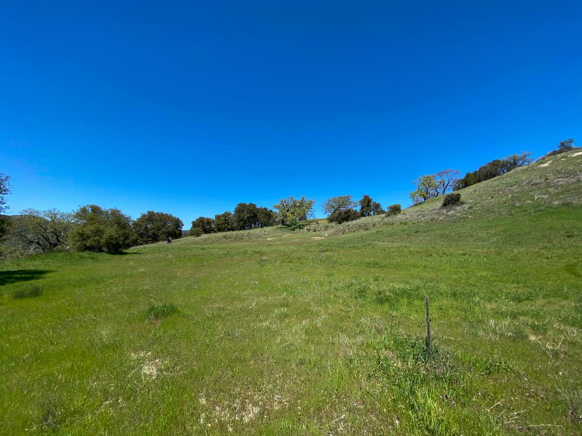 40 Pronghorn Run, CARMEL VALLEY, California 93923, ,Lots And Land,For Sale,Pronghorn Run,40964087
