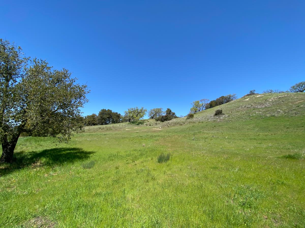 40 Pronghorn Run, CARMEL VALLEY, California 93923, ,Lots And Land,For Sale,Pronghorn Run,40964087