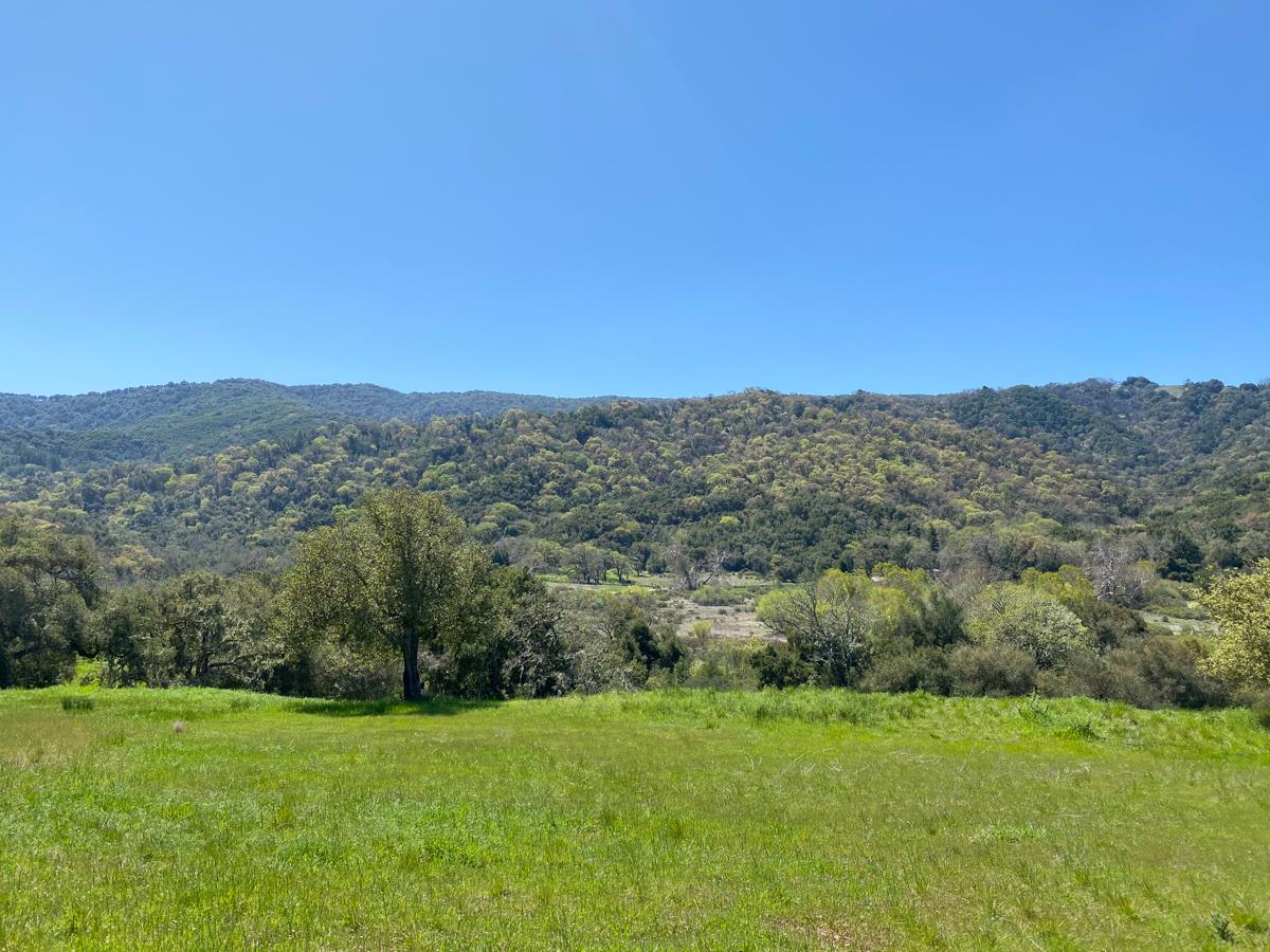 40 Pronghorn Run, CARMEL VALLEY, California 93923, ,Lots And Land,For Sale,Pronghorn Run,40964087