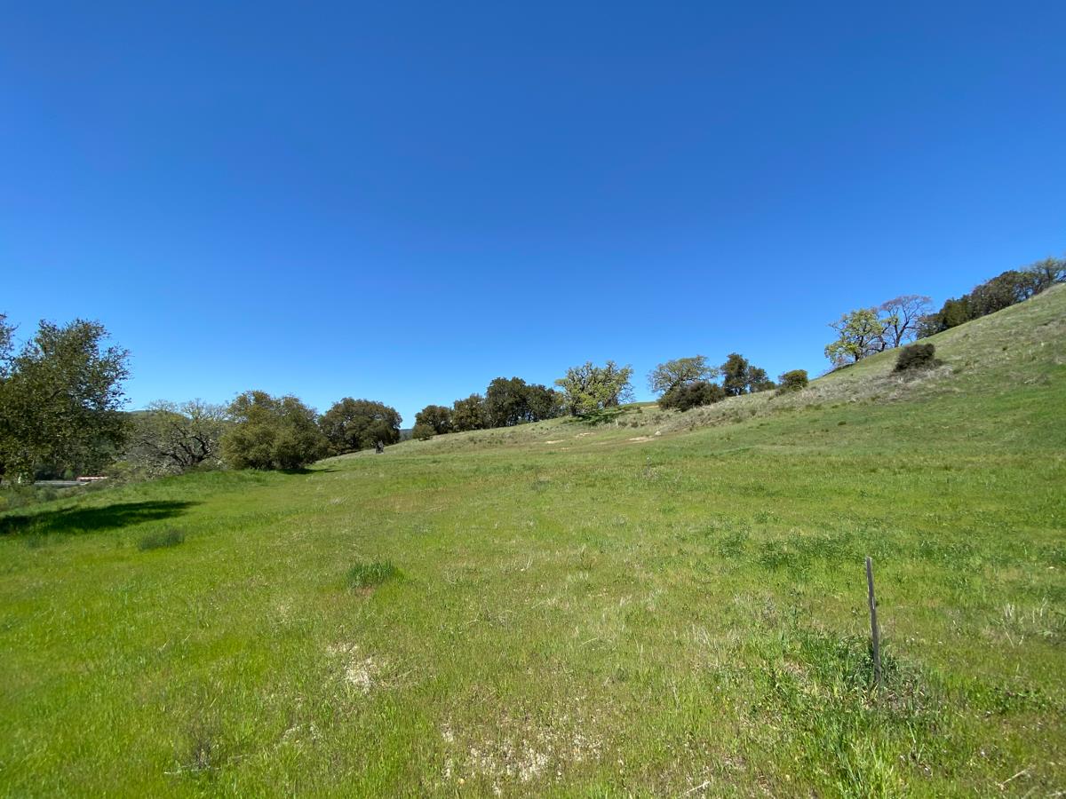 40 Pronghorn Run, CARMEL VALLEY, California 93923, ,Lots And Land,For Sale,Pronghorn Run,40964087