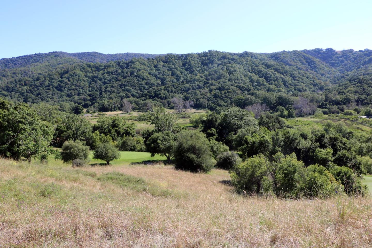 40 Pronghorn Run, CARMEL VALLEY, California 93923, ,Lots And Land,For Sale,Pronghorn Run,40964087