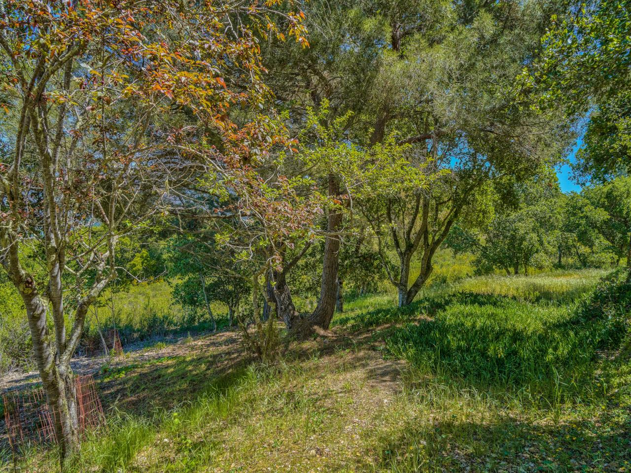 12155 Saddle, CARMEL VALLEY, California 93924, ,Lots And Land,For Sale,Saddle,40964272
