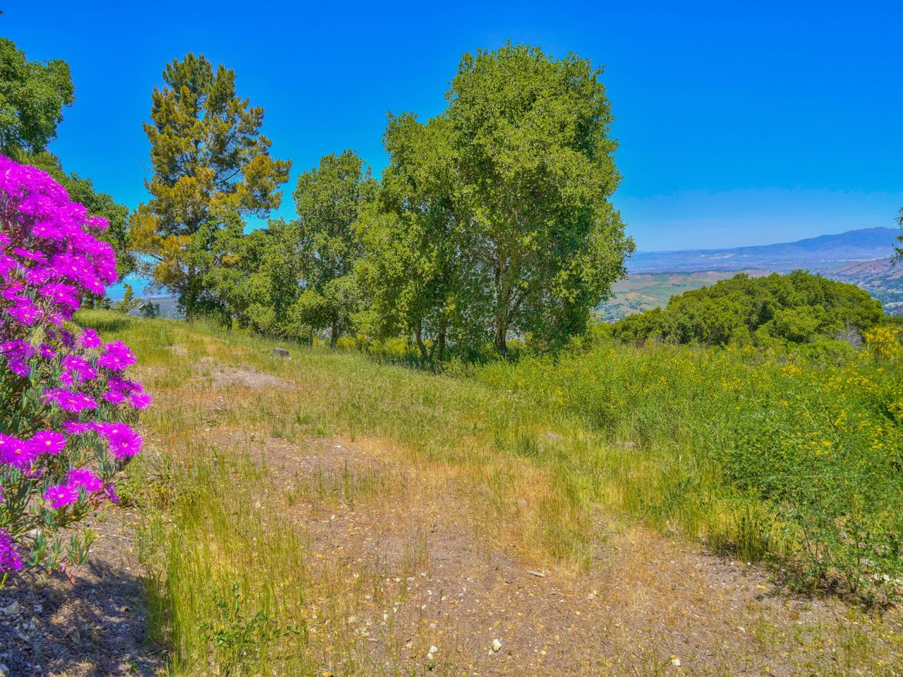 12155 Saddle, CARMEL VALLEY, California 93924, ,Lots And Land,For Sale,Saddle,40964272