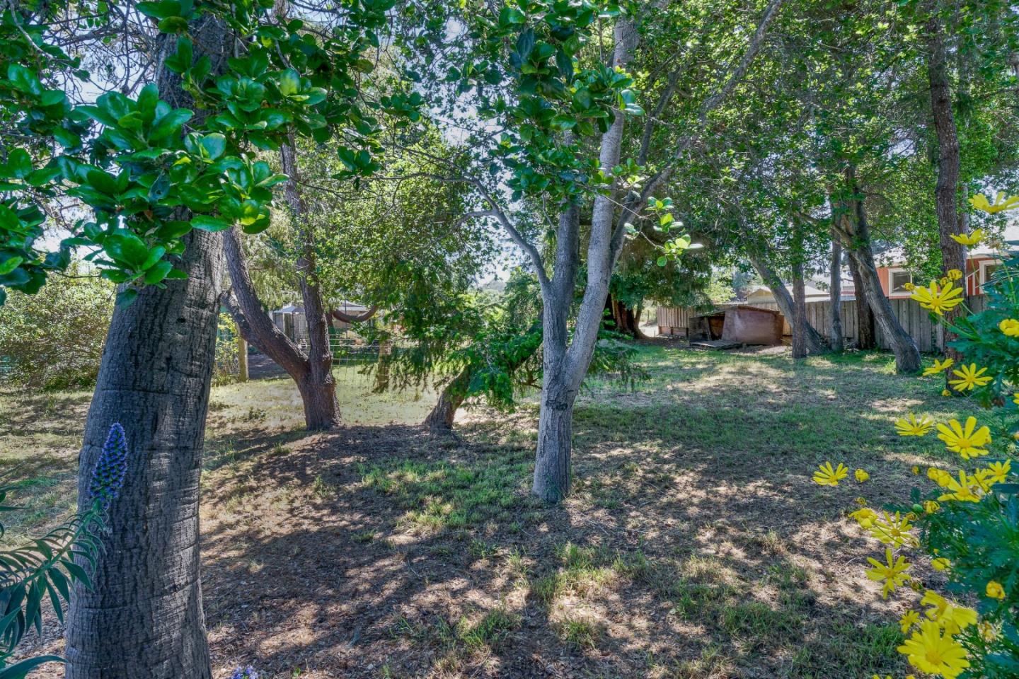 0 Mattison Lane, SANTA CRUZ, California 95062, ,Lots And Land,For Sale,Mattison Lane,40964101