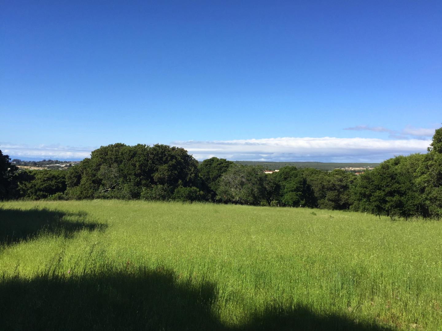8170 Manjares, MONTEREY, California 93940, ,Lots And Land,For Sale,Manjares,40964104