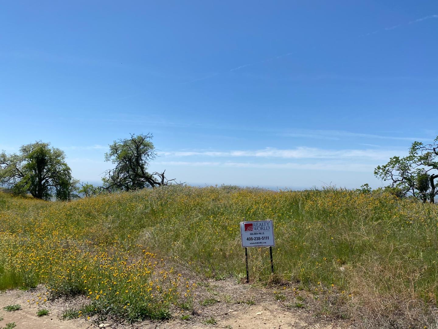 0 Lot 95, SQUAW VALLEY, California 93675, ,Lots And Land,For Sale,Lot 95,40964107
