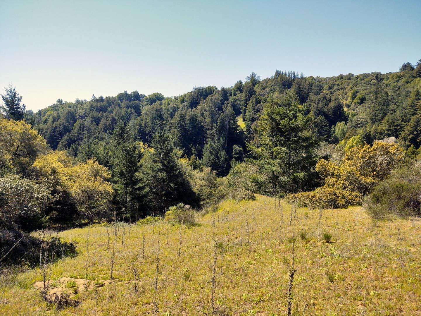 0 Laurel Glen Road, SOQUEL, California 95073, ,Lots And Land,For Sale,Laurel Glen Road,40964116
