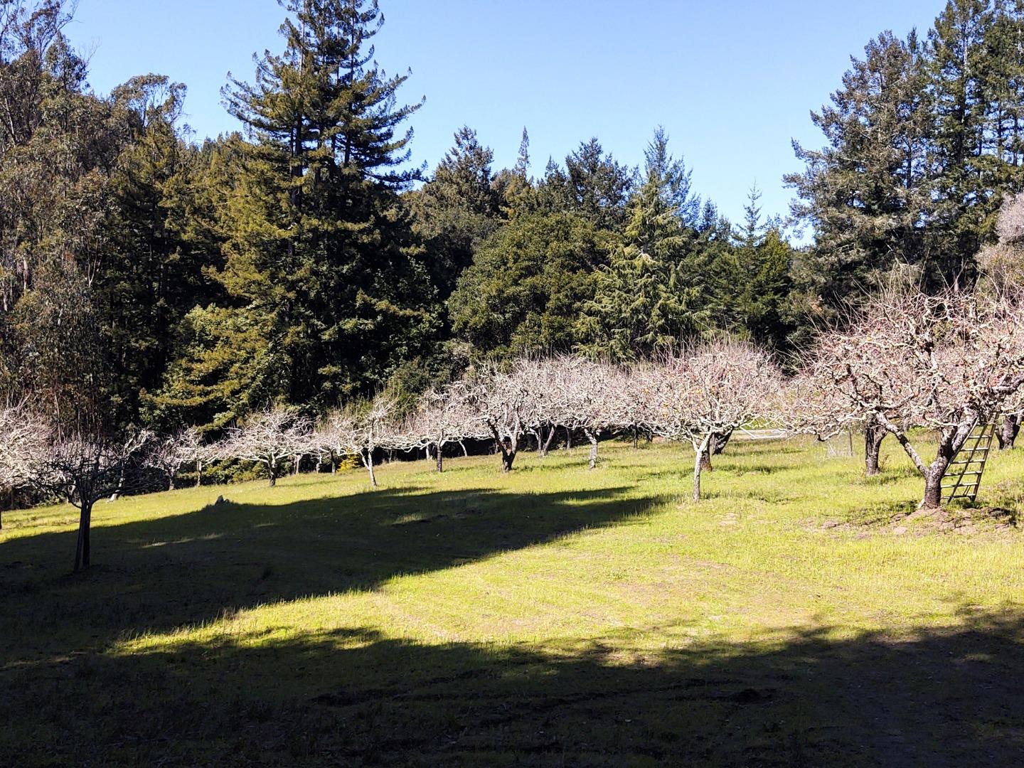 0 Laurel Glen Road, SOQUEL, California 95073, ,Lots And Land,For Sale,Laurel Glen Road,40964116