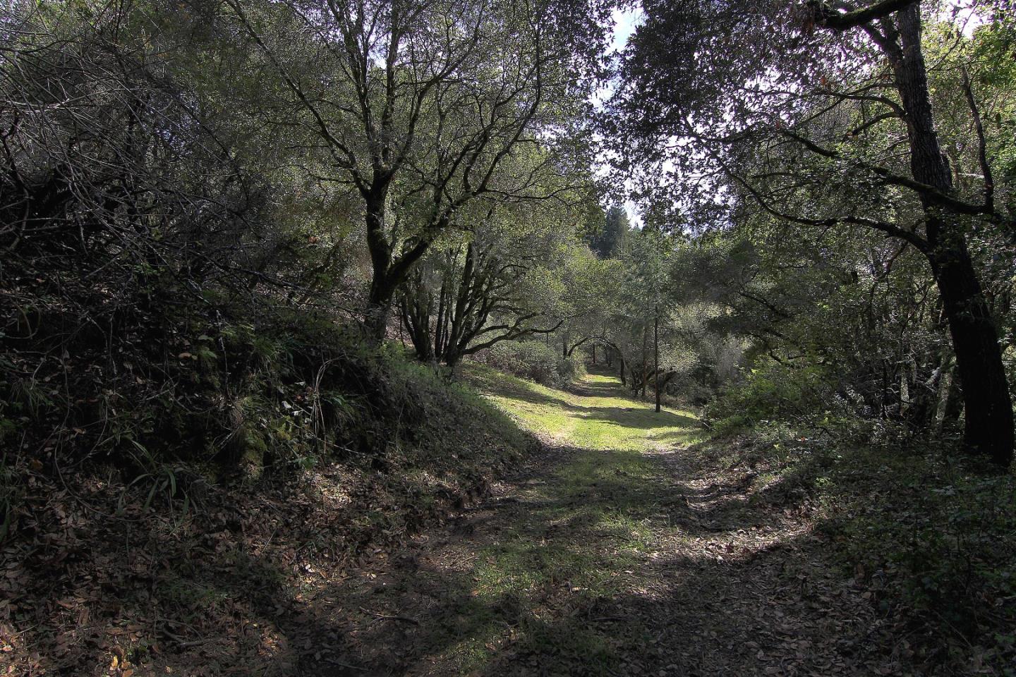 0 Laurel Glen Road, SOQUEL, California 95073, ,Lots And Land,For Sale,Laurel Glen Road,40964116