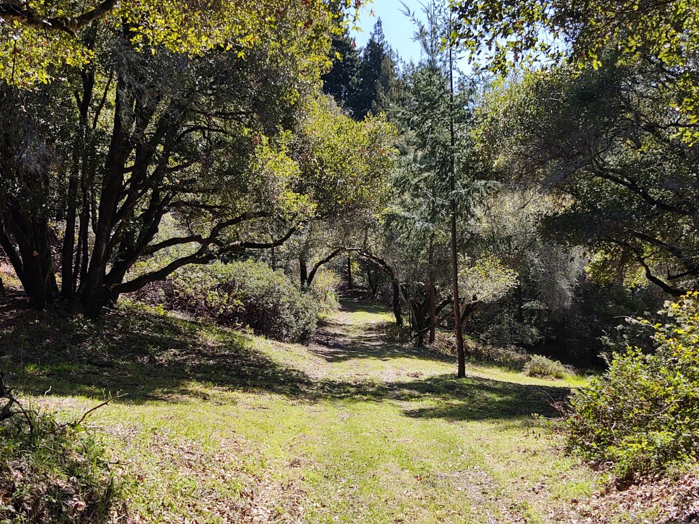 0 Laurel Glen Road, SOQUEL, California 95073, ,Lots And Land,For Sale,Laurel Glen Road,40964116