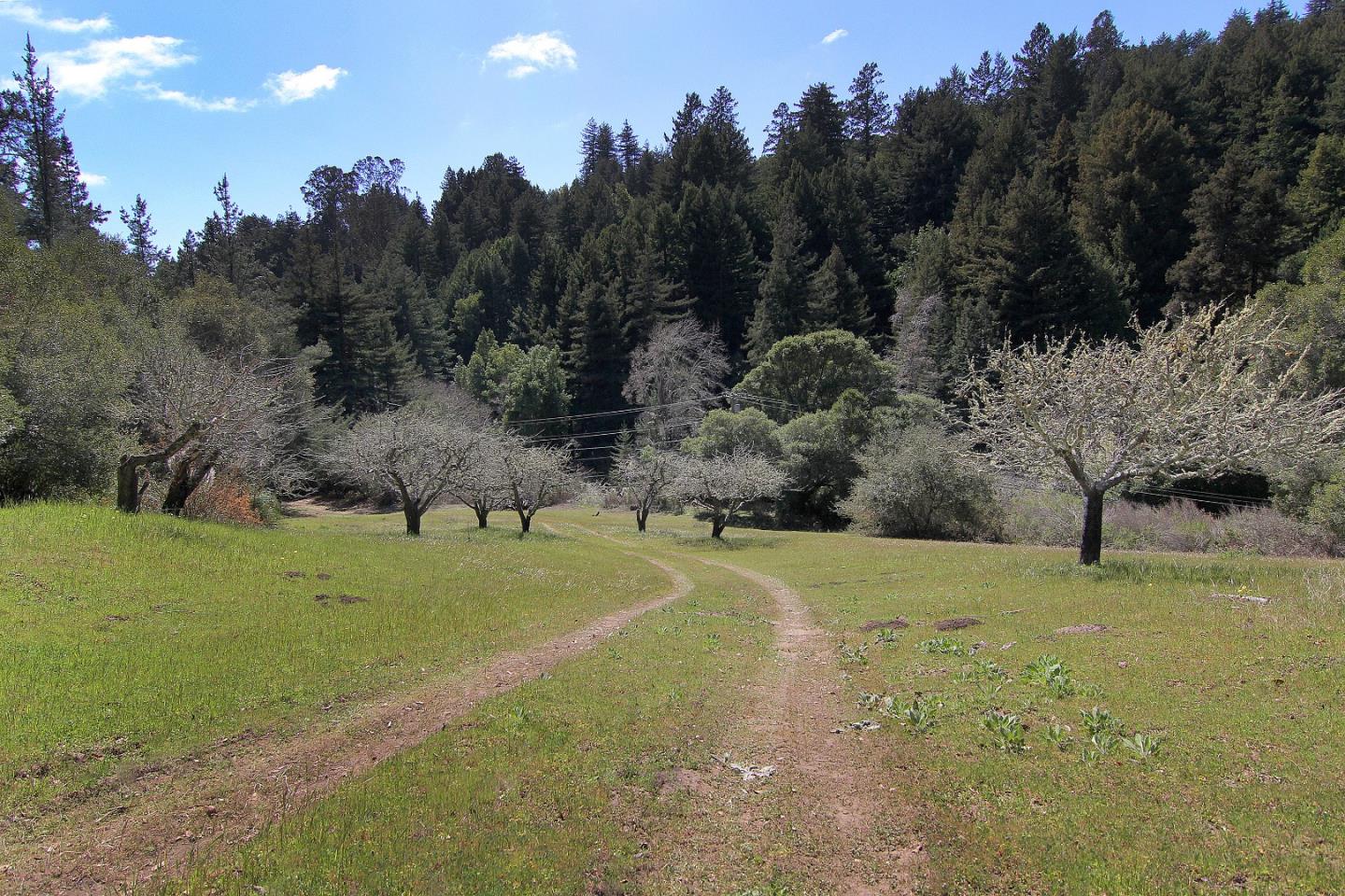 0 Laurel Glen Road, SOQUEL, California 95073, ,Lots And Land,For Sale,Laurel Glen Road,40964116