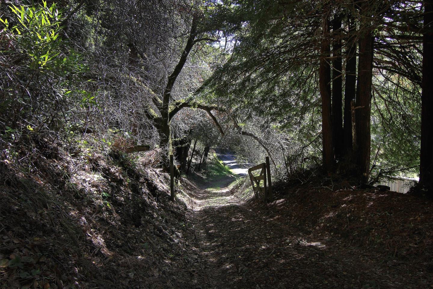 0 Laurel Glen Road, SOQUEL, California 95073, ,Lots And Land,For Sale,Laurel Glen Road,40964116