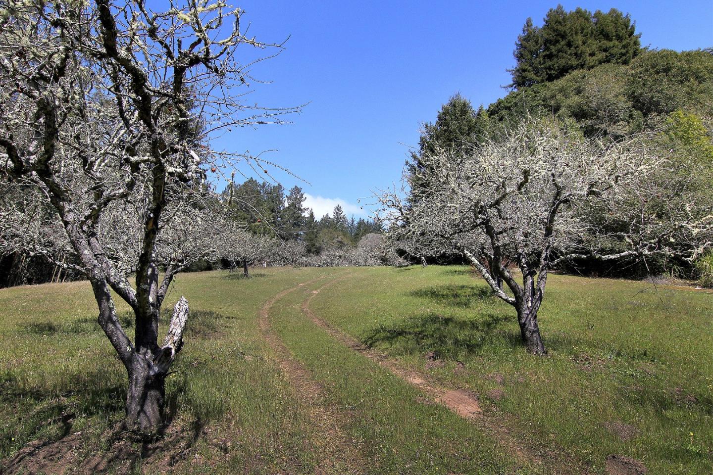 0 Laurel Glen Road, SOQUEL, California 95073, ,Lots And Land,For Sale,Laurel Glen Road,40964116