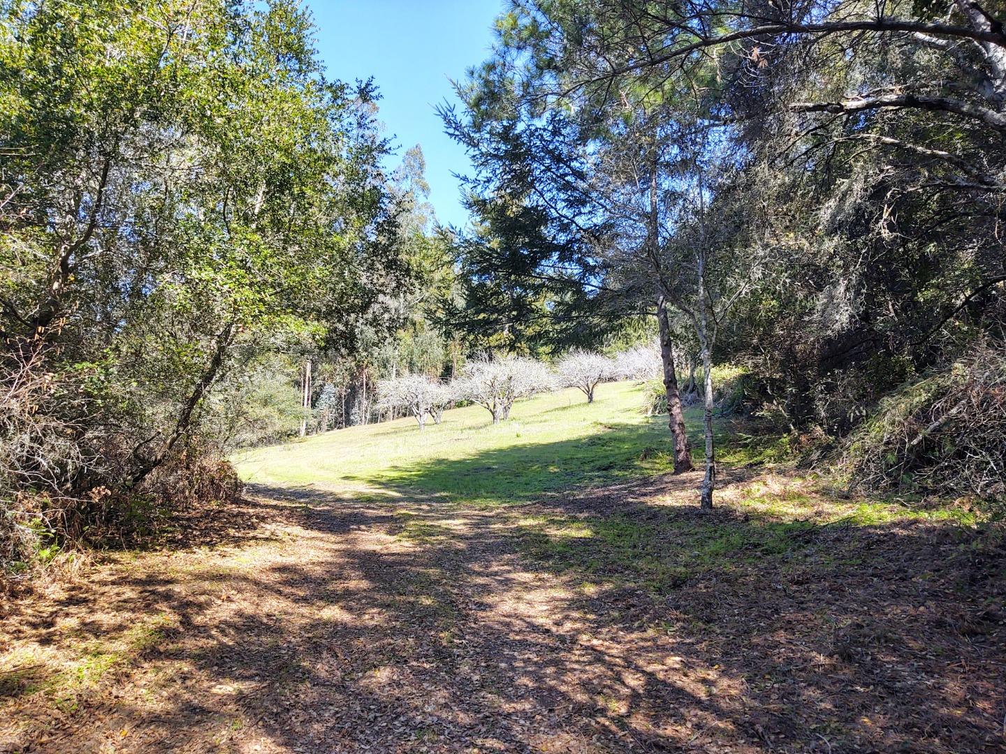 0 Laurel Glen Road, SOQUEL, California 95073, ,Lots And Land,For Sale,Laurel Glen Road,40964116