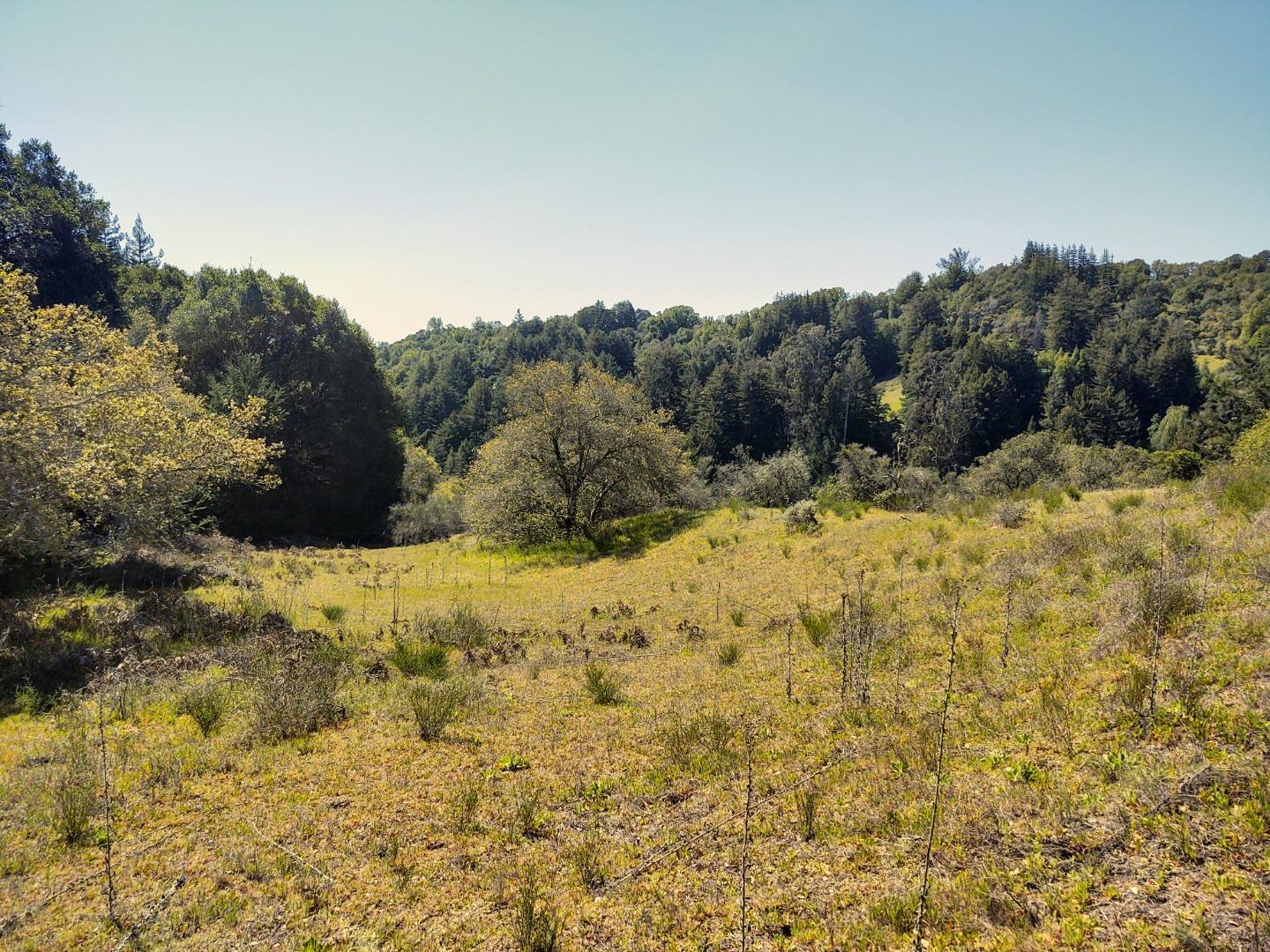 0 Laurel Glen Road, SOQUEL, California 95073, ,Lots And Land,For Sale,Laurel Glen Road,40964116