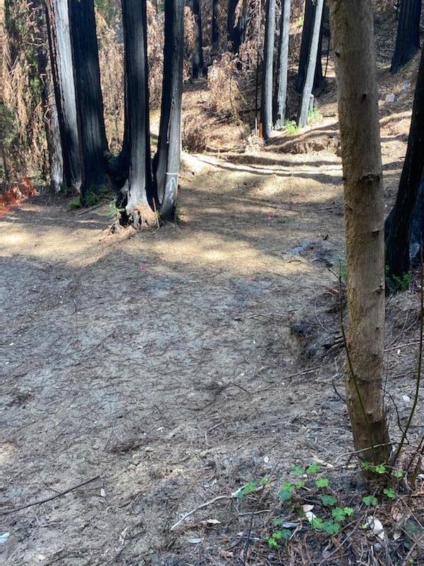 737 Alameda Avenue, BROOKDALE, California 95007, ,Lots And Land,For Sale,Alameda Avenue,40964127
