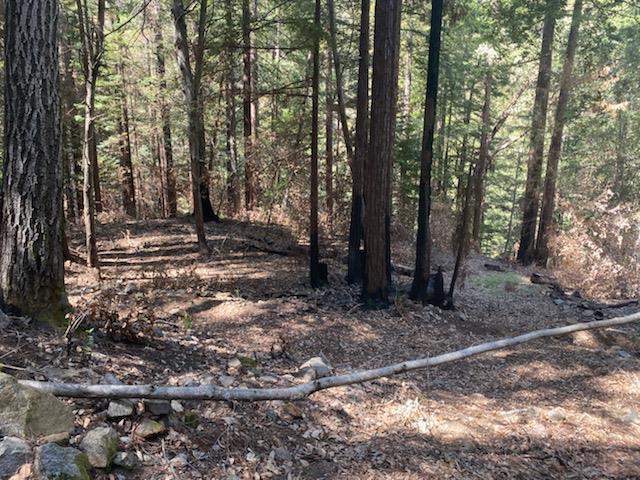 737 Alameda Avenue, BROOKDALE, California 95007, ,Lots And Land,For Sale,Alameda Avenue,40964127