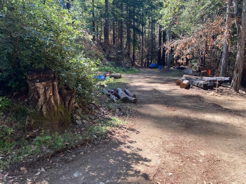 737 Alameda Avenue, BROOKDALE, California 95007, ,Lots And Land,For Sale,Alameda Avenue,40964127