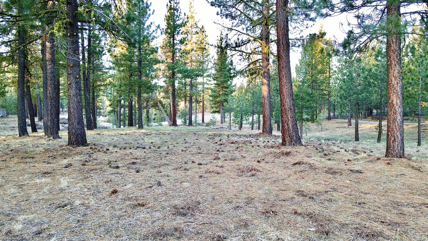127 Windsong, PORTOLA, California 96122, ,Lots And Land,For Sale,Windsong,40964130