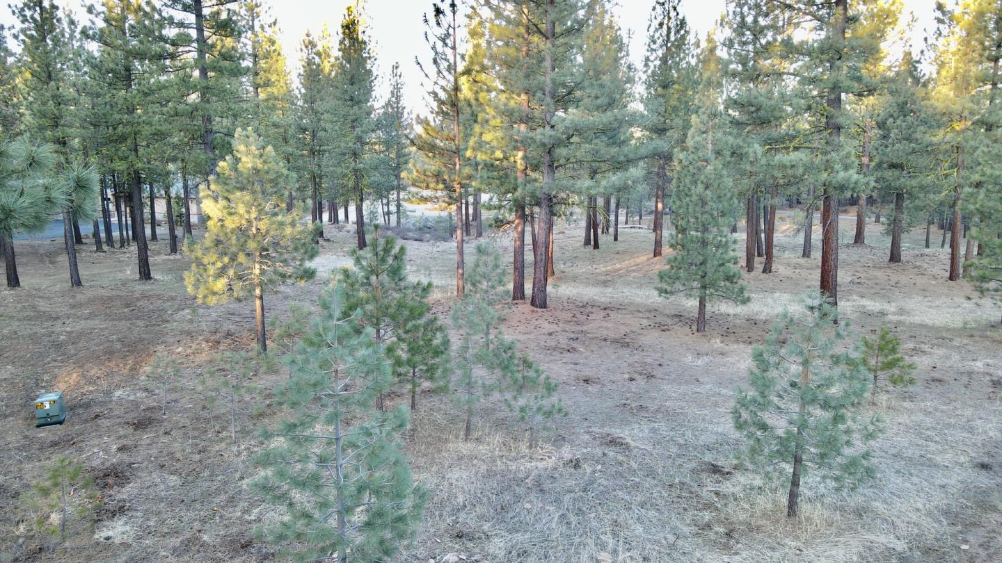 127 Windsong, PORTOLA, California 96122, ,Lots And Land,For Sale,Windsong,40964130