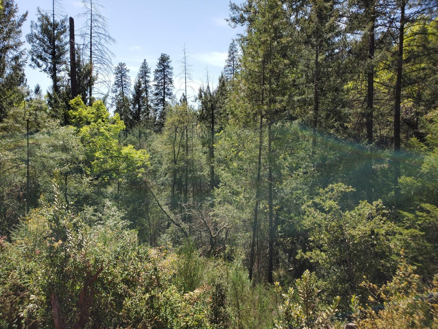 0 Shoo Fly Road, PLACERVILLE, California 95667, ,Lots And Land,For Sale,Shoo Fly Road,40964139