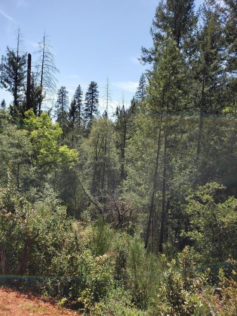 0 Shoo Fly Road, PLACERVILLE, California 95667, ,Lots And Land,For Sale,Shoo Fly Road,40964139