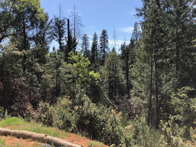 0 Shoo Fly Road, PLACERVILLE, California 95667, ,Lots And Land,For Sale,Shoo Fly Road,40964139