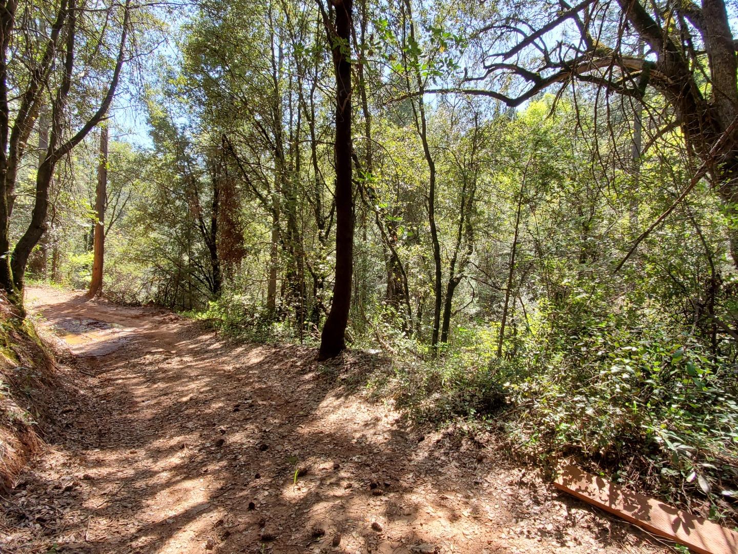 0 Shoo Fly Road, PLACERVILLE, California 95667, ,Lots And Land,For Sale,Shoo Fly Road,40964139