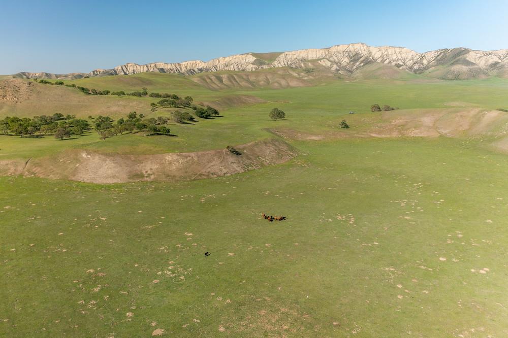 00 Thomas Road, HOLLISTER, California 95023, ,Lots And Land,For Sale,Thomas Road,40964142