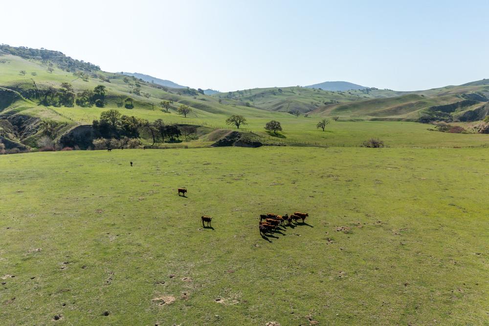 00 Thomas Road, HOLLISTER, California 95023, ,Lots And Land,For Sale,Thomas Road,40964142