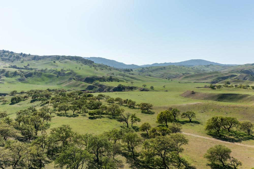 00 Thomas Road, HOLLISTER, California 95023, ,Lots And Land,For Sale,Thomas Road,40964142