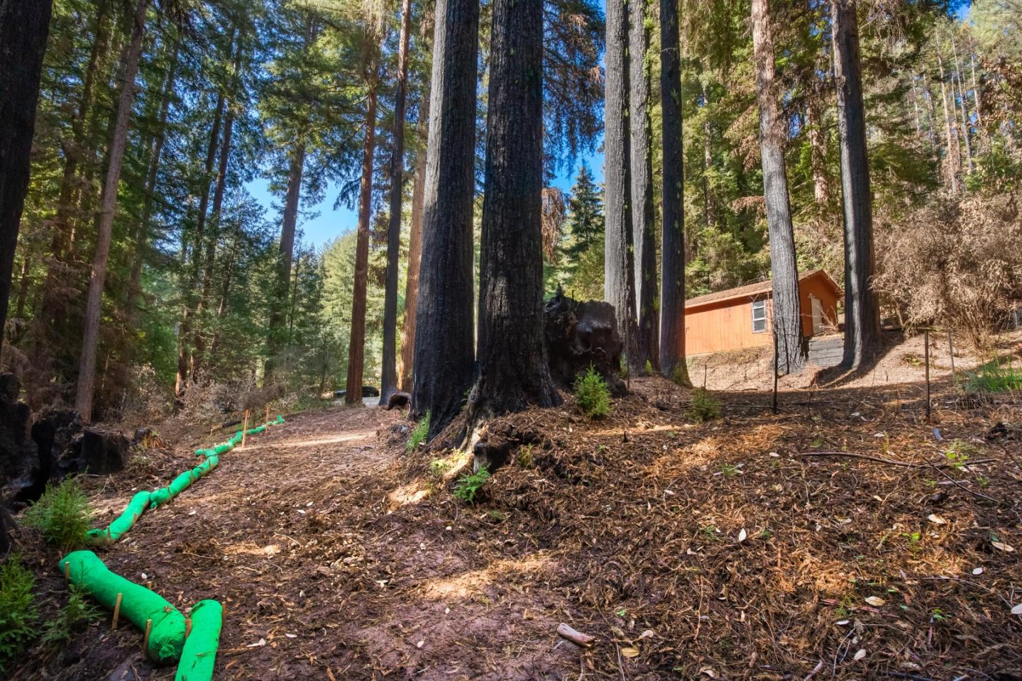 626 Nottingham Way, BOULDER CREEK, California 95006, ,Lots And Land,For Sale,Nottingham Way,40964144