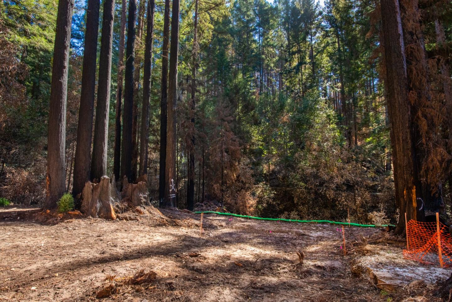 626 Nottingham Way, BOULDER CREEK, California 95006, ,Lots And Land,For Sale,Nottingham Way,40964144
