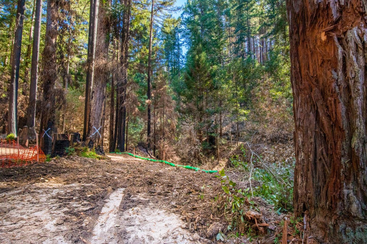 626 Nottingham Way, BOULDER CREEK, California 95006, ,Lots And Land,For Sale,Nottingham Way,40964144