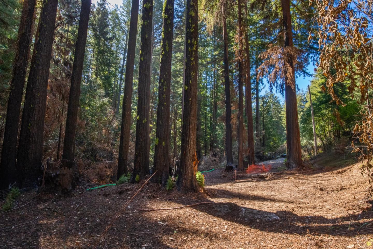 626 Nottingham Way, BOULDER CREEK, California 95006, ,Lots And Land,For Sale,Nottingham Way,40964144