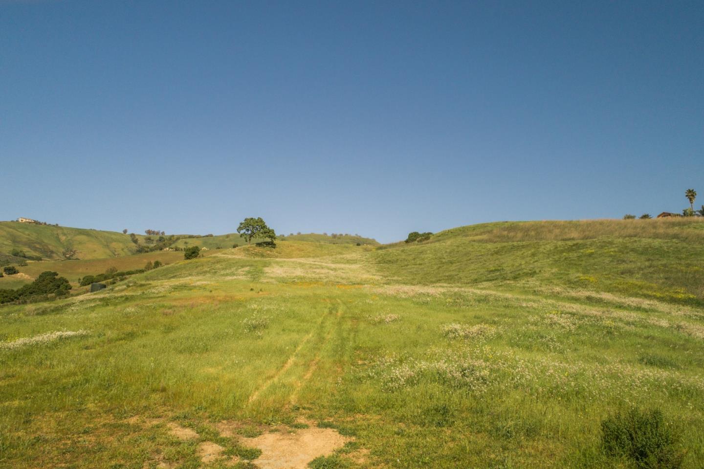 0 Casa De Fernandez Court, SAN JOSE, California 95148, ,Lots And Land,For Sale,Casa De Fernandez Court,40964154