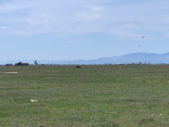 0 Highway 180, MENDOTA, California 93640, ,Comm Lots And Land,For Sale,Highway 180,40964148