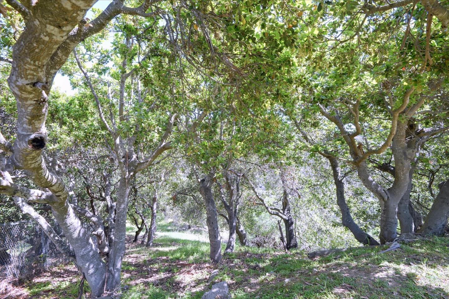 45/47 Ralston Ranch Road, BELMONT, California 94002, ,Lots And Land,For Sale,Ralston Ranch Road,40964156