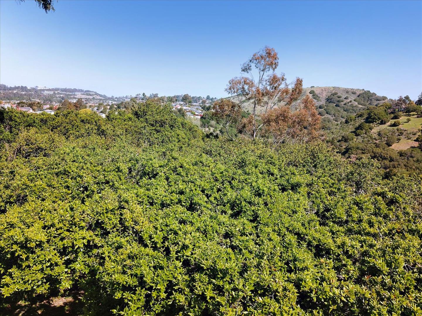 45/47 Ralston Ranch Road, BELMONT, California 94002, ,Lots And Land,For Sale,Ralston Ranch Road,40964156