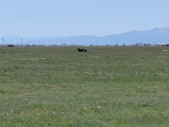 0 Highway180, MENDOTA, California 93640, ,Lots And Land,For Sale,Highway180,40964158