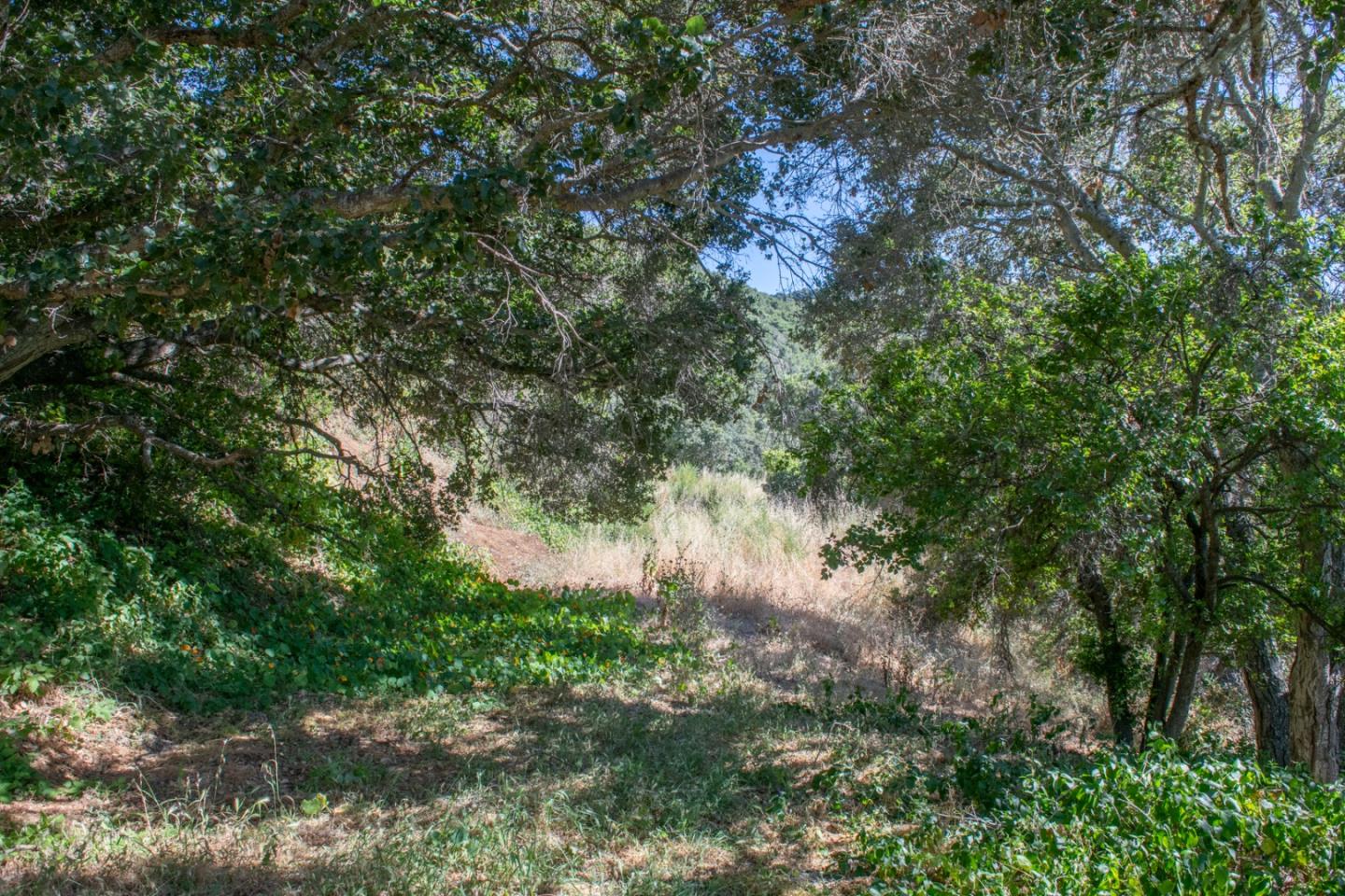 0 Southbank Road, CARMEL VALLEY, California 93924, ,Lots And Land,For Sale,Southbank Road,40964163