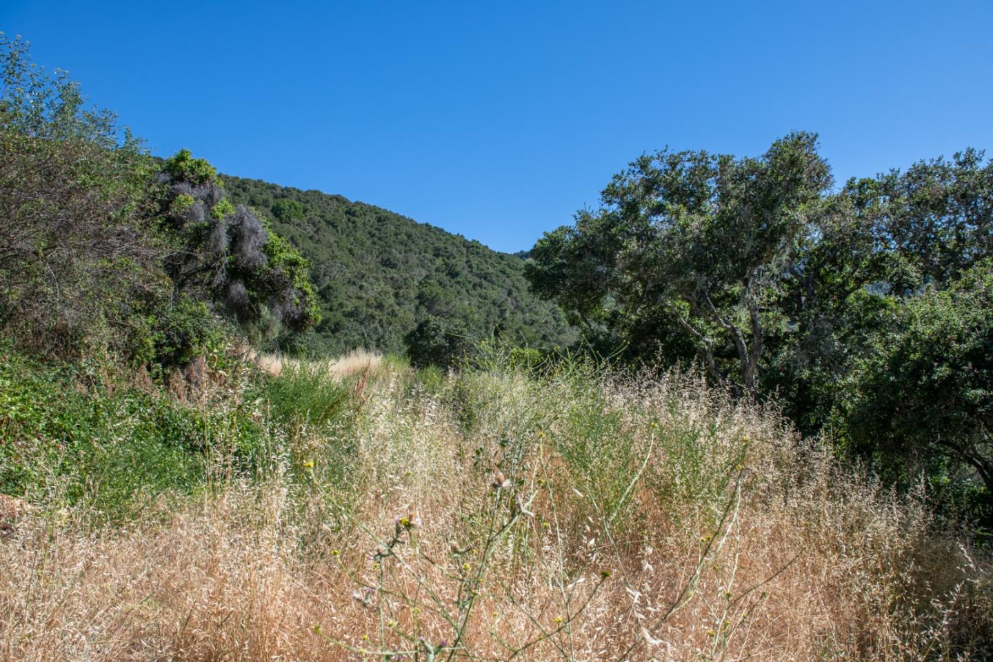 0 Southbank Road, CARMEL VALLEY, California 93924, ,Lots And Land,For Sale,Southbank Road,40964163
