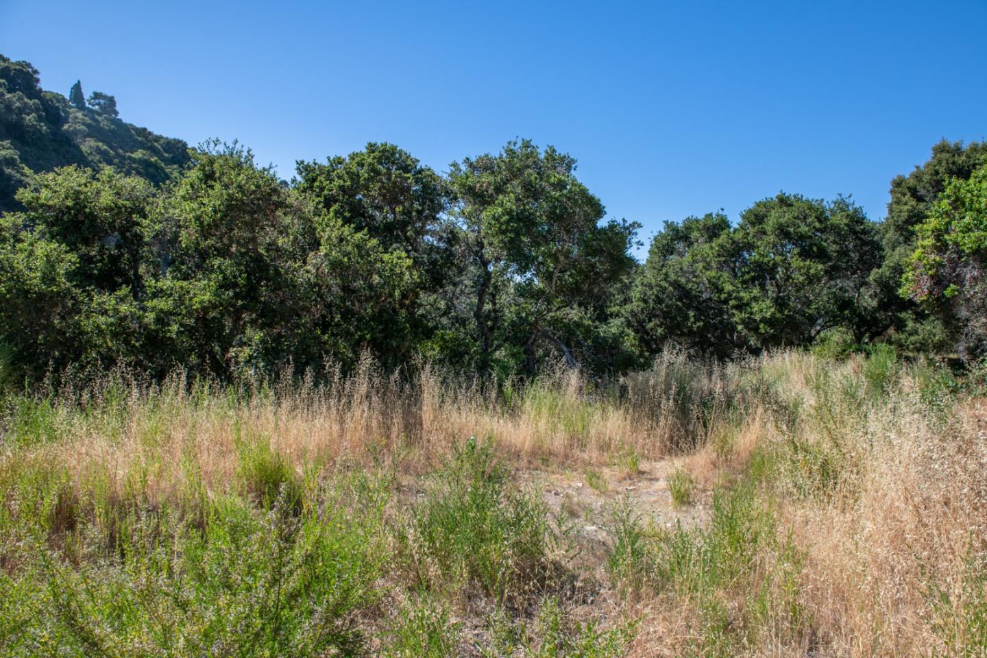0 Southbank Road, CARMEL VALLEY, California 93924, ,Lots And Land,For Sale,Southbank Road,40964163