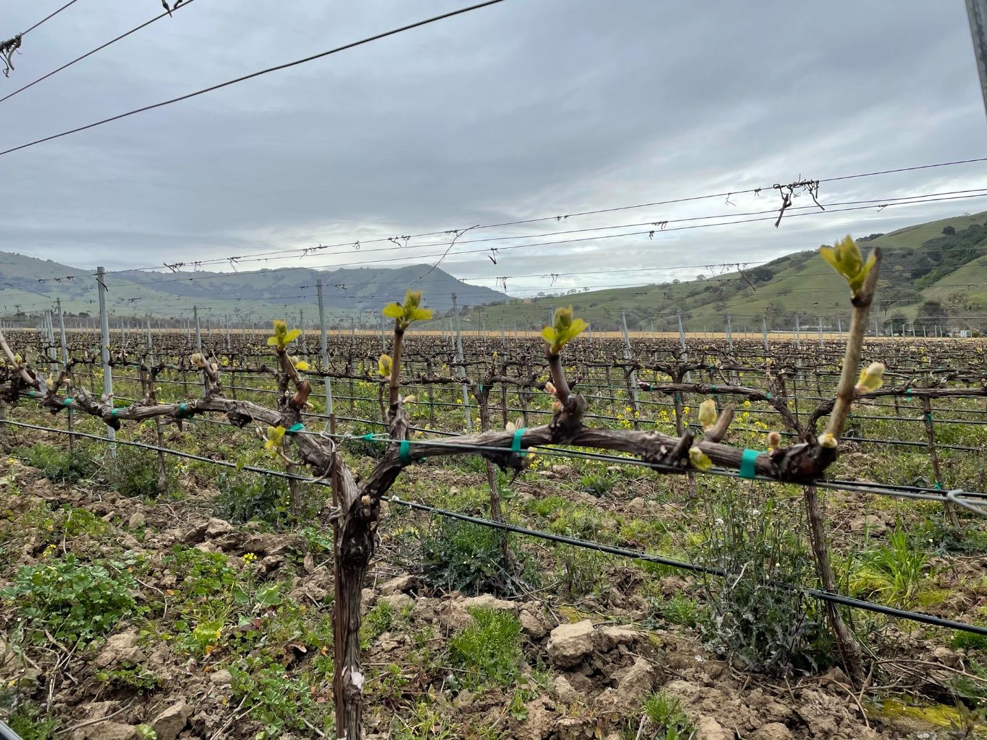 3385 Pacheco Pass Highway, GILROY, California 95020, ,Comm Lots And Land,For Sale,Pacheco Pass Highway,40964160