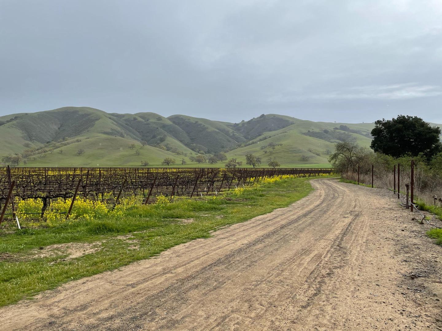 3385 Pacheco Pass Highway, GILROY, California 95020, ,Comm Lots And Land,For Sale,Pacheco Pass Highway,40964160