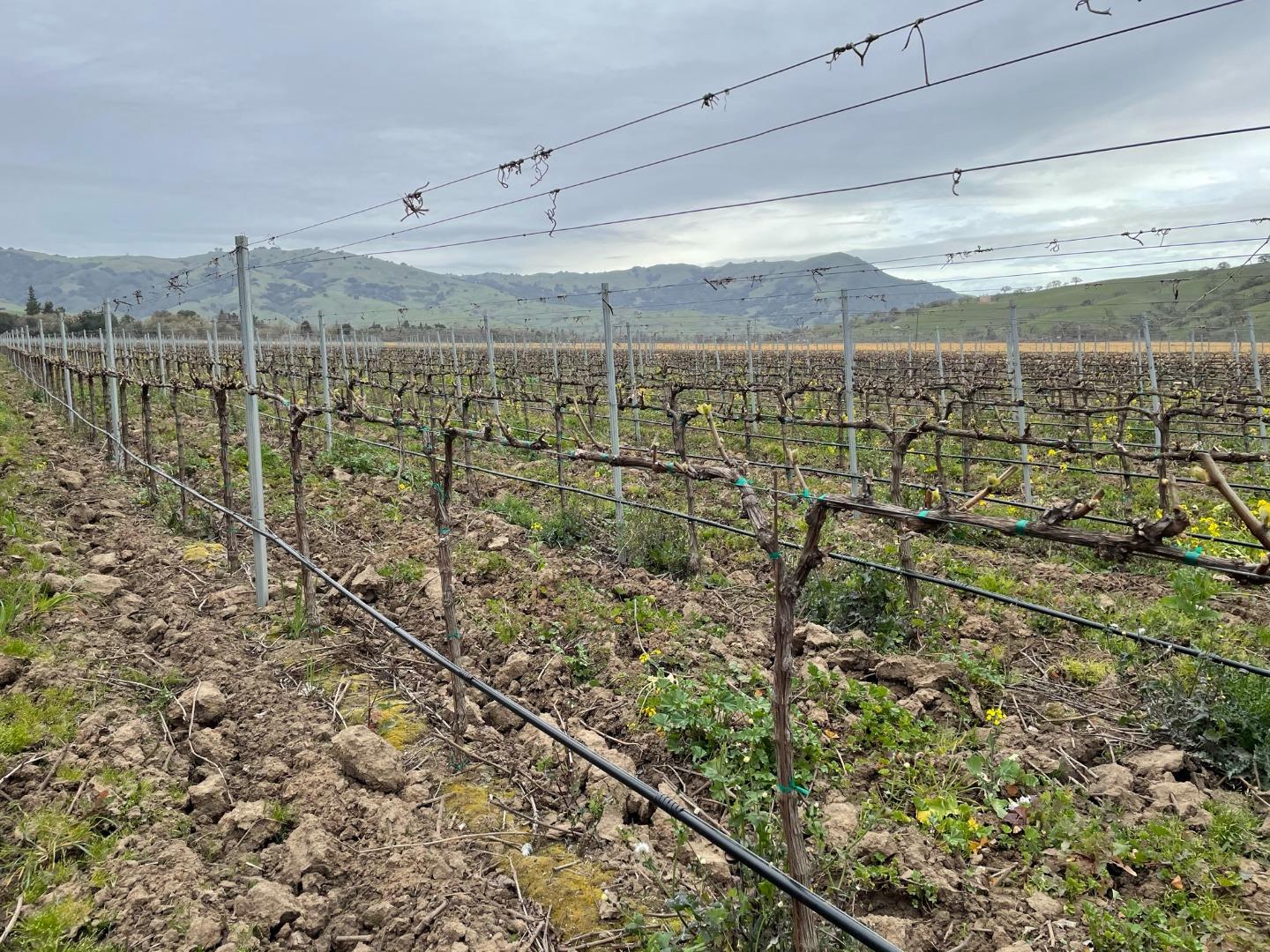 3385 Pacheco Pass Highway, GILROY, California 95020, ,Comm Lots And Land,For Sale,Pacheco Pass Highway,40964160