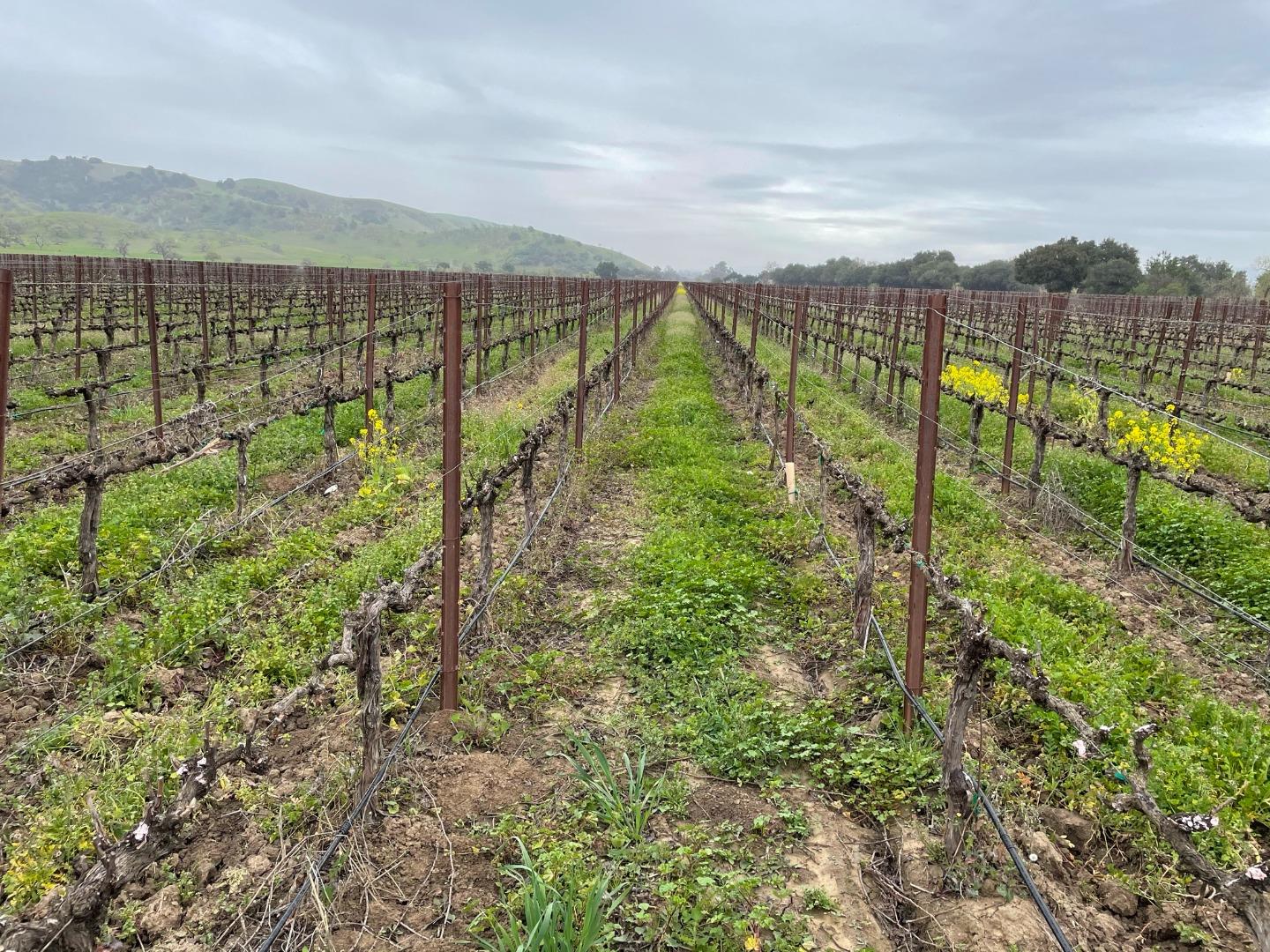 3385 Pacheco Pass Highway, GILROY, California 95020, ,Comm Lots And Land,For Sale,Pacheco Pass Highway,40964160